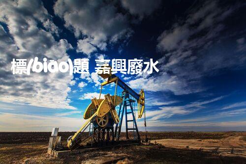 標(biāo)題 嘉興廢水處理廠家：解密行業(yè)隱形冠軍？